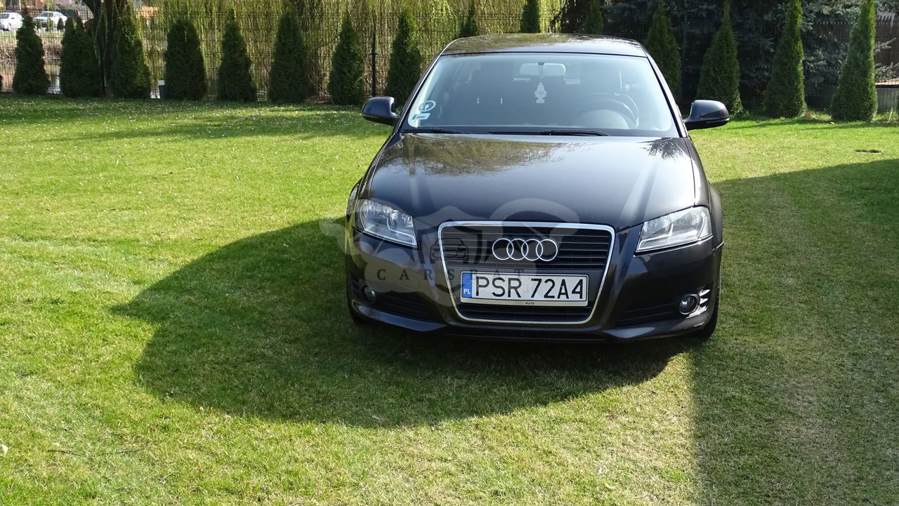 Audi A3 8P 1.6 TDI DPF Ambition 2009