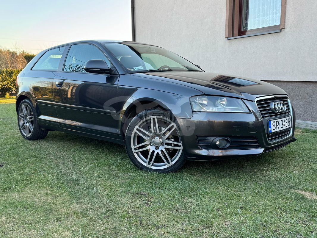 Audi A3 8P 1.6 Ambiente 2009