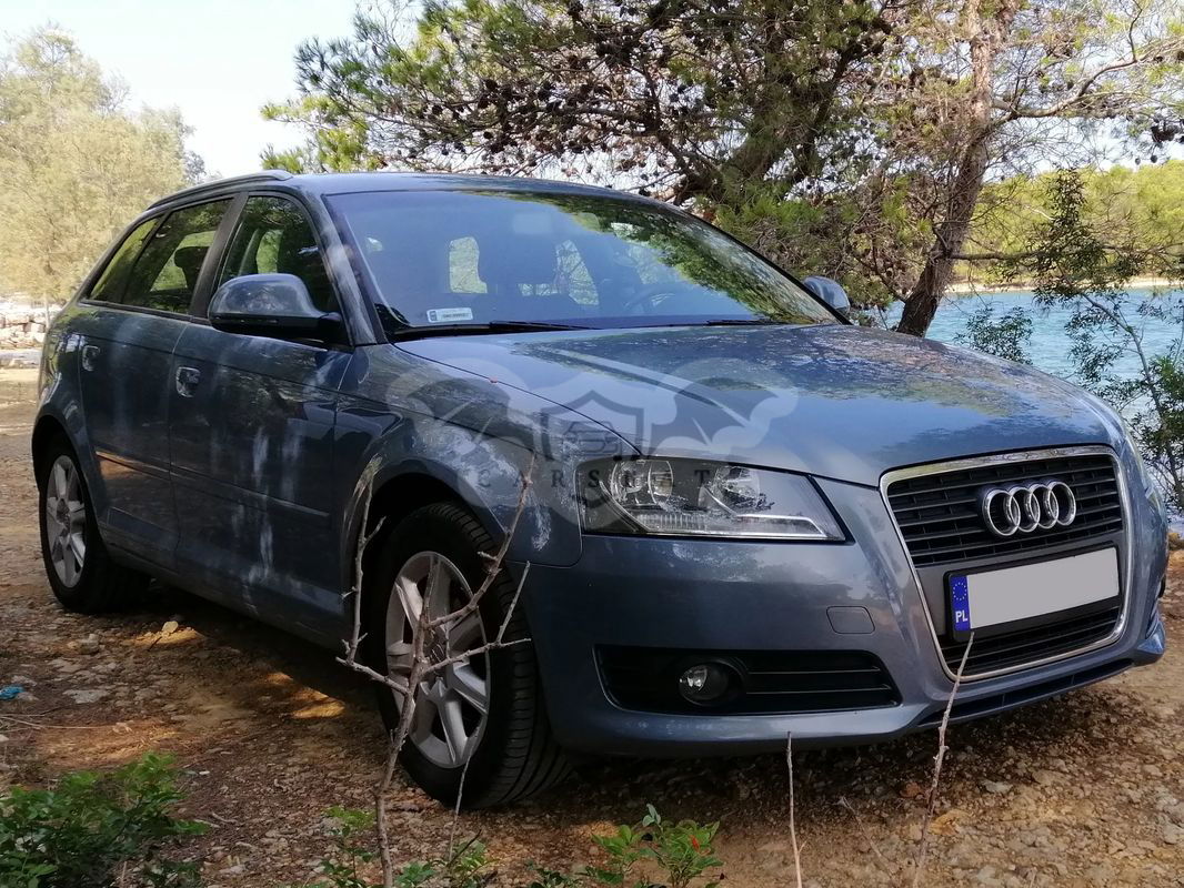 Audi A3 8P 1.6 TDI DPF Ambition 2010
