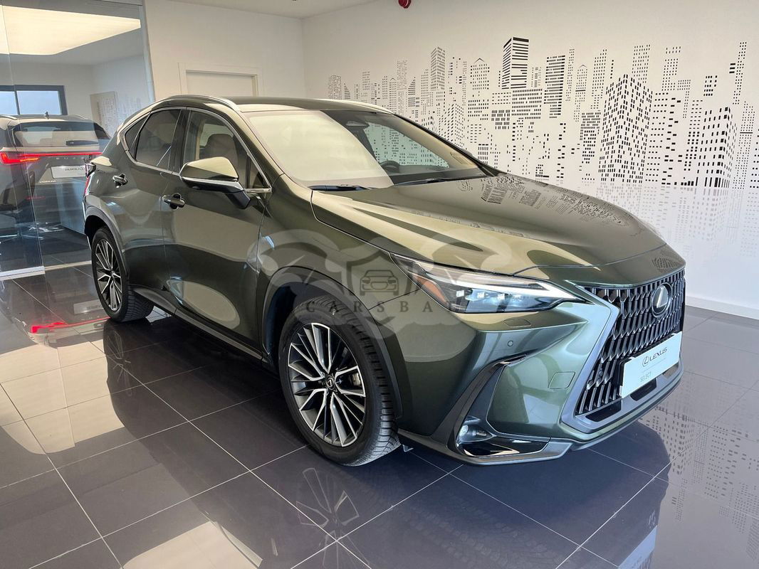 Lexus NX II 2024