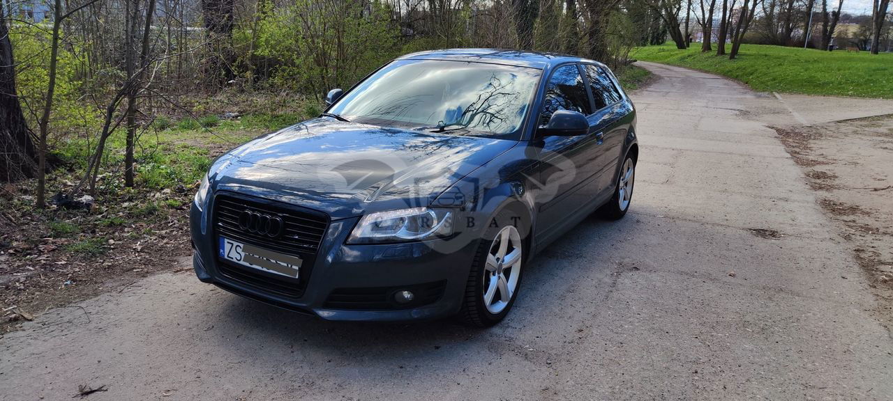 Audi A3 8P 2010
