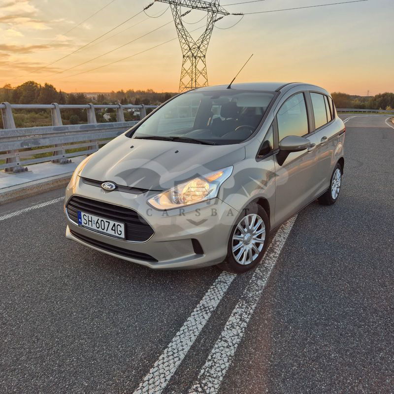 Ford B-Max 1.0 EcoBoost Trend 2013