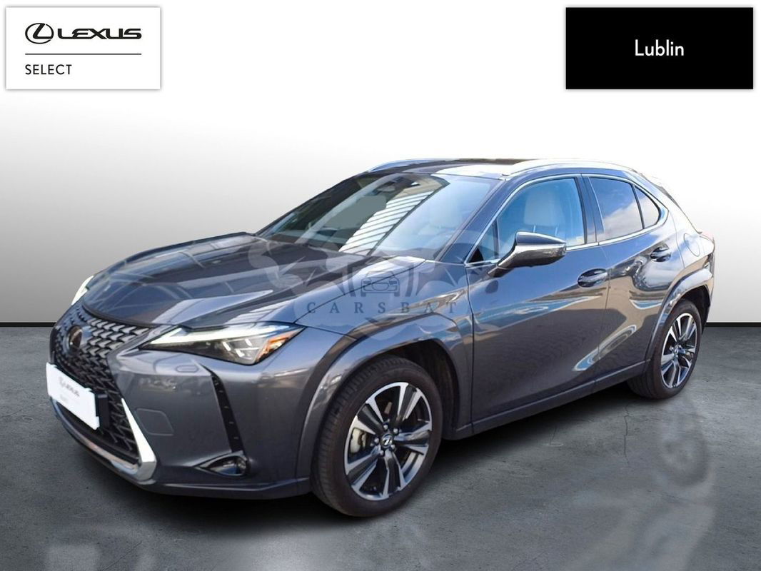 Lexus UX 2024