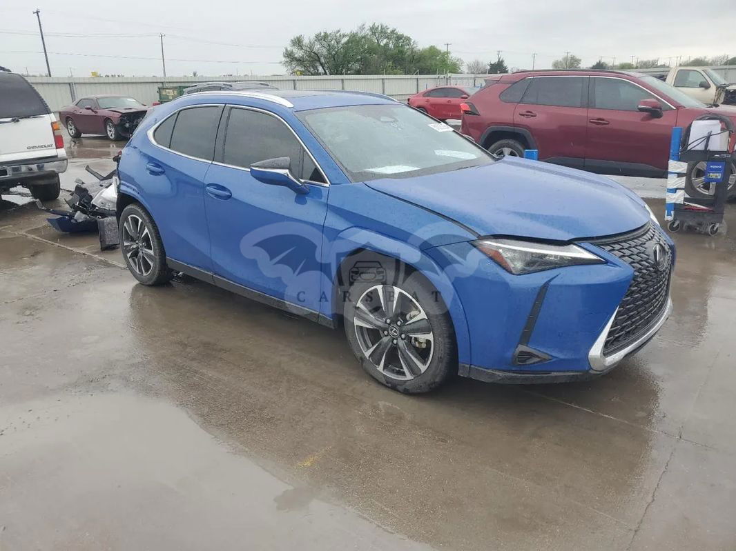 Lexus UX 300h Business 2024