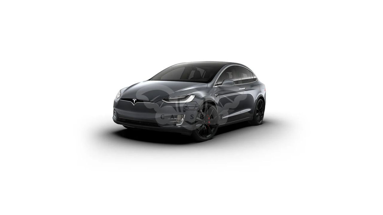 Tesla Model X Performance 2020