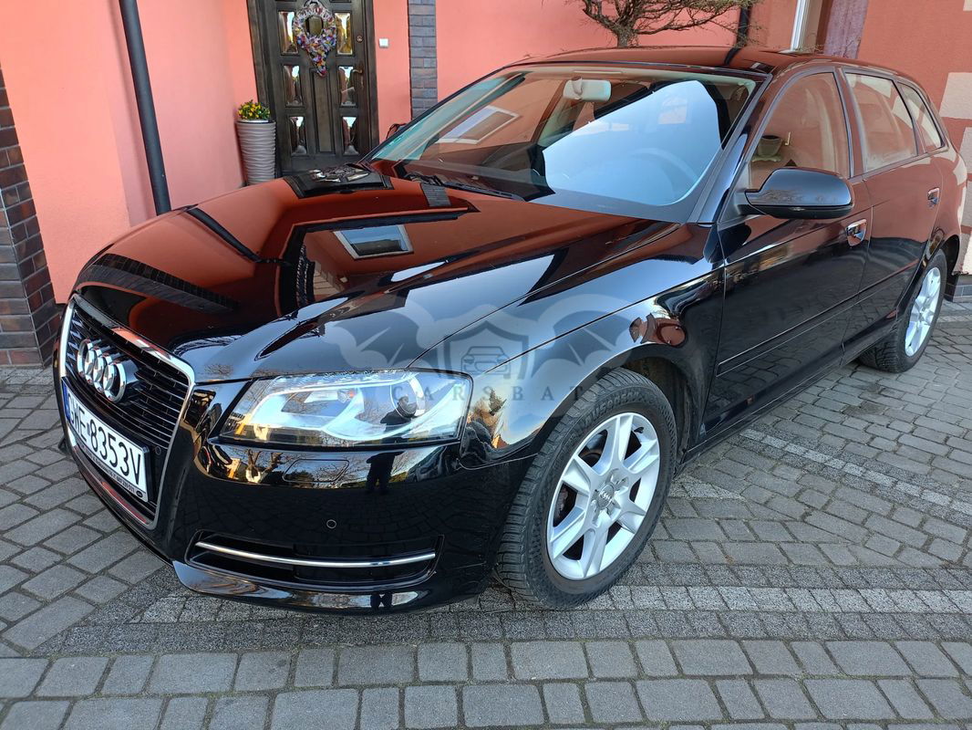Audi A3 8P 1.6 Ambition 2010