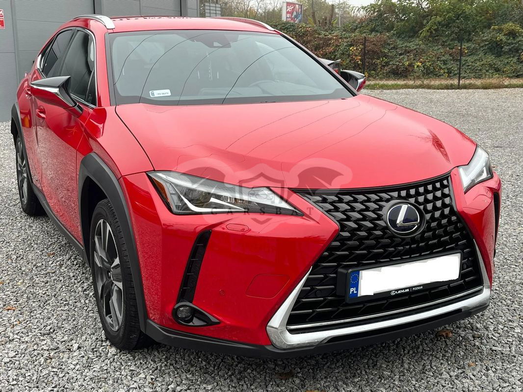 Lexus UX 250h GPF Business 2WD 2020