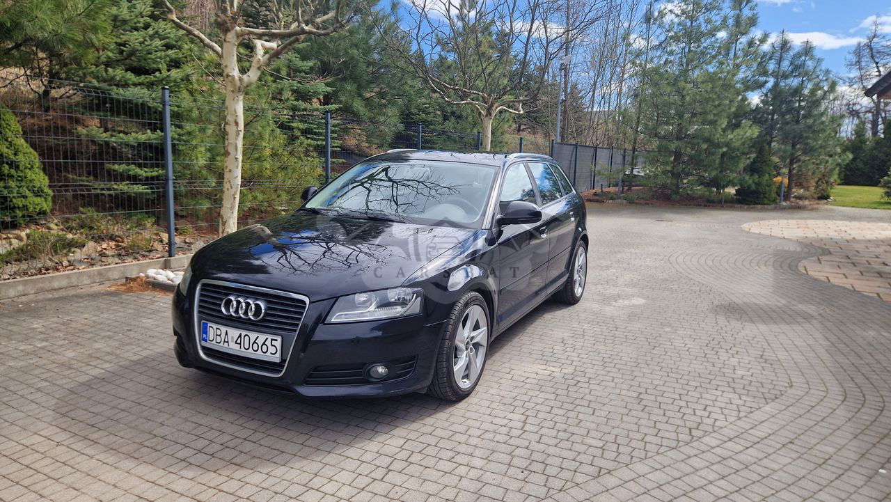 Audi A3 8P 2009