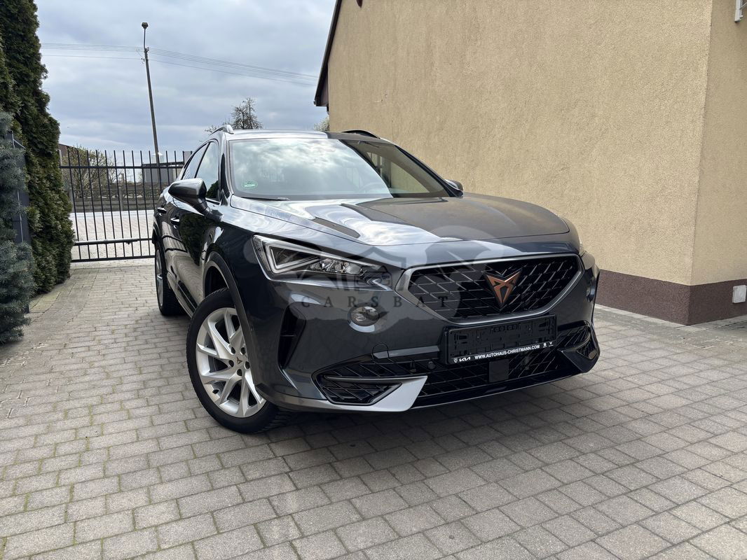Cupra Formentor 2.0 TSI 4Drive DSG 2022