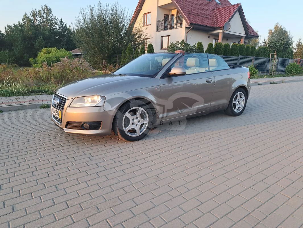 Audi A3 8P 2010