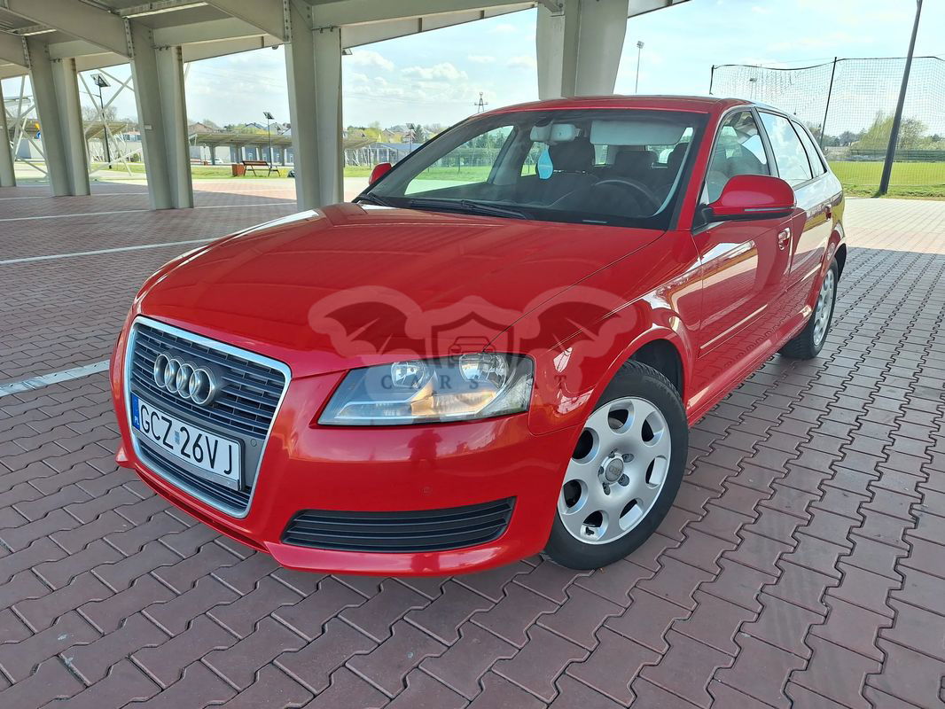 Audi A3 8P 1.6 TDI DPF Ambiente 2010