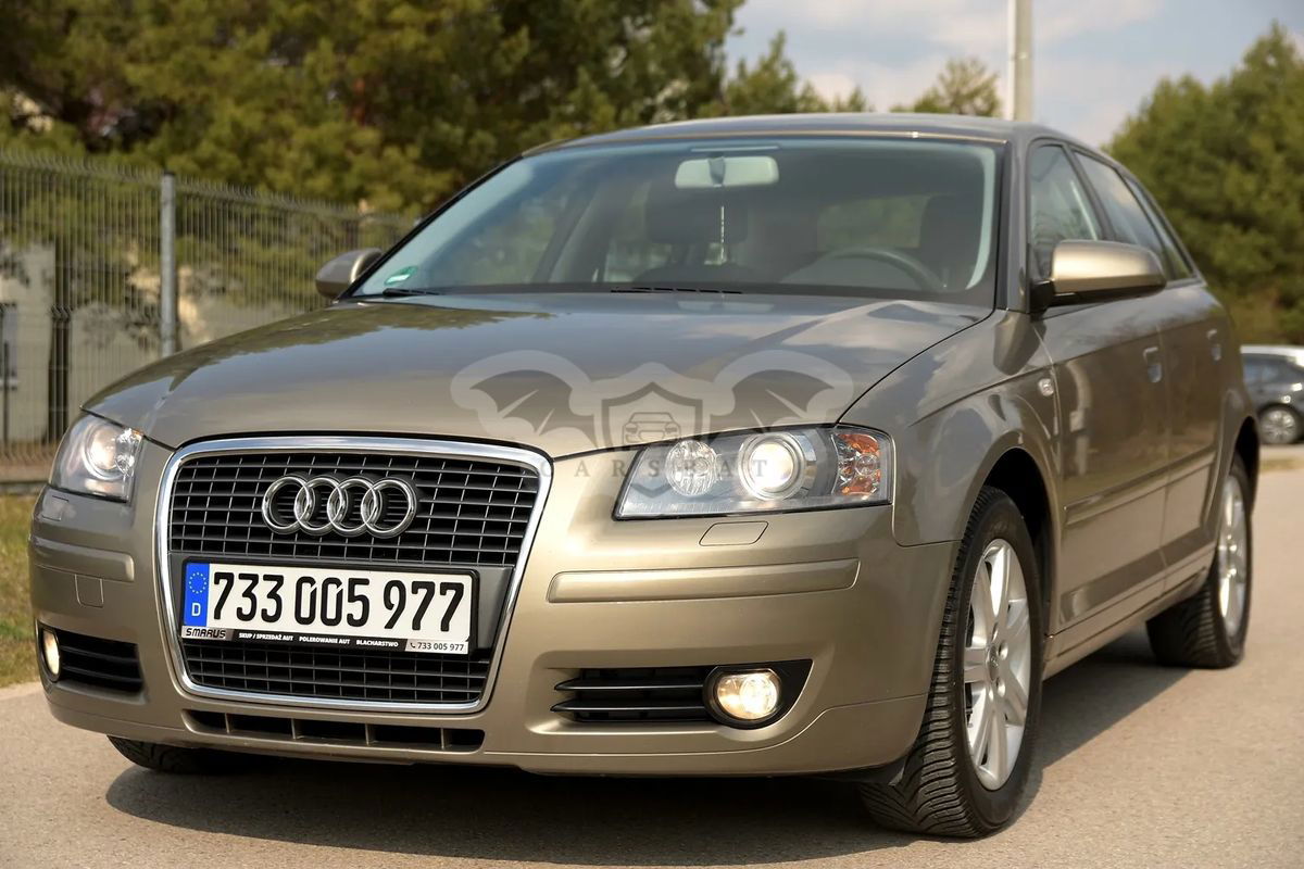 Audi A3 8P 1.9 TDI Sportback Ambiente 2009