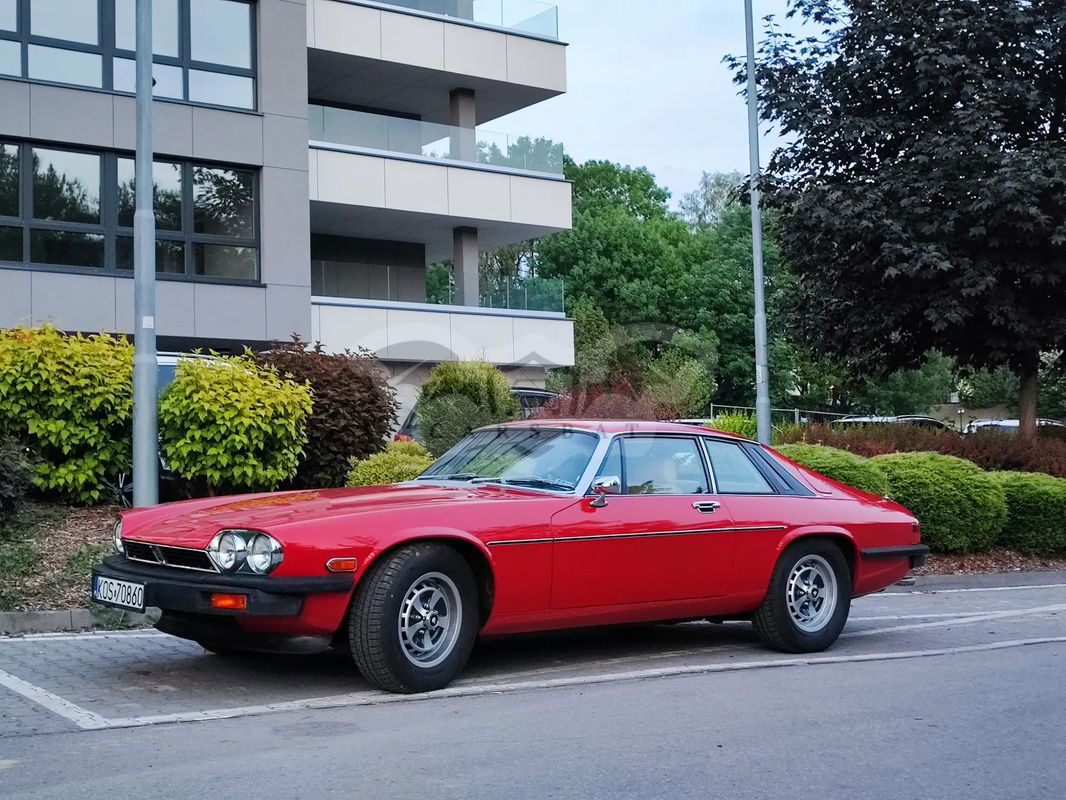 Jaguar XJS 1976