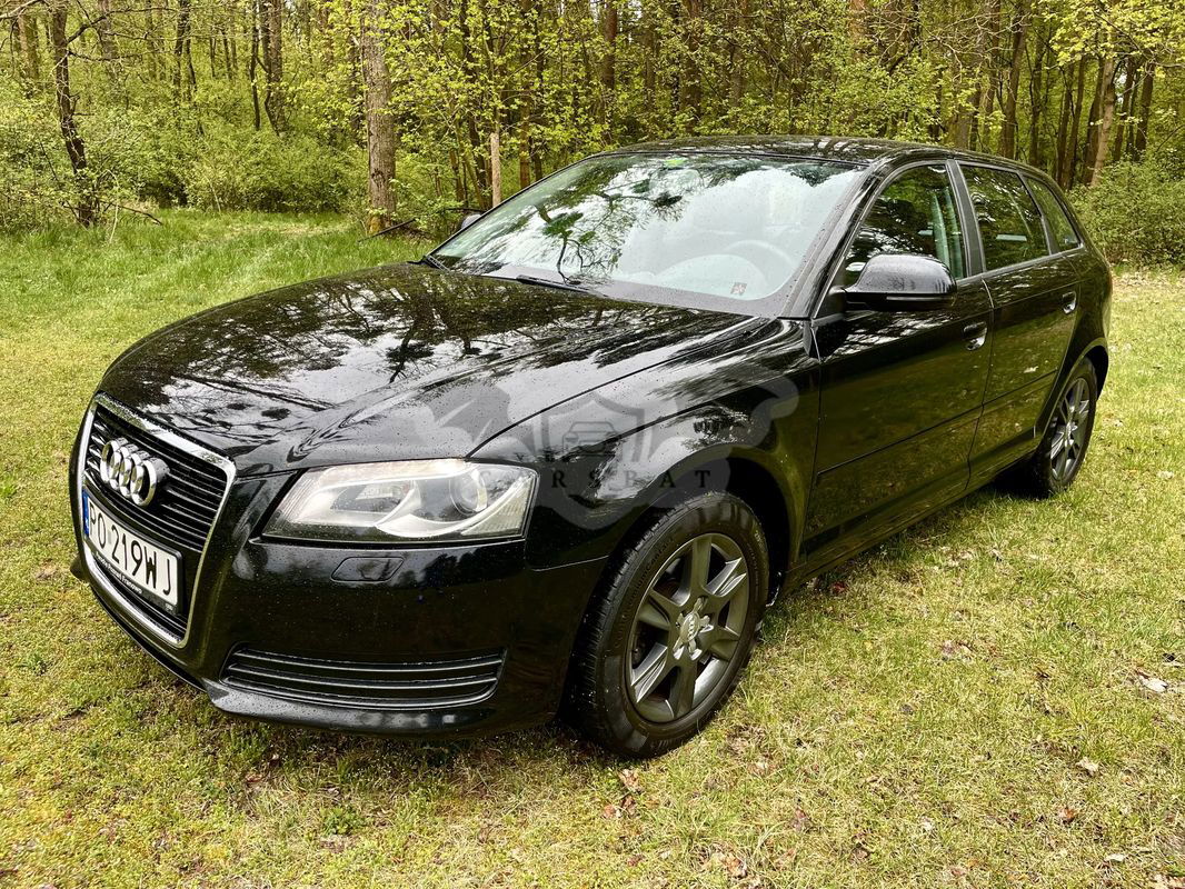 Audi A3 8P 1.6 Ambition 2009