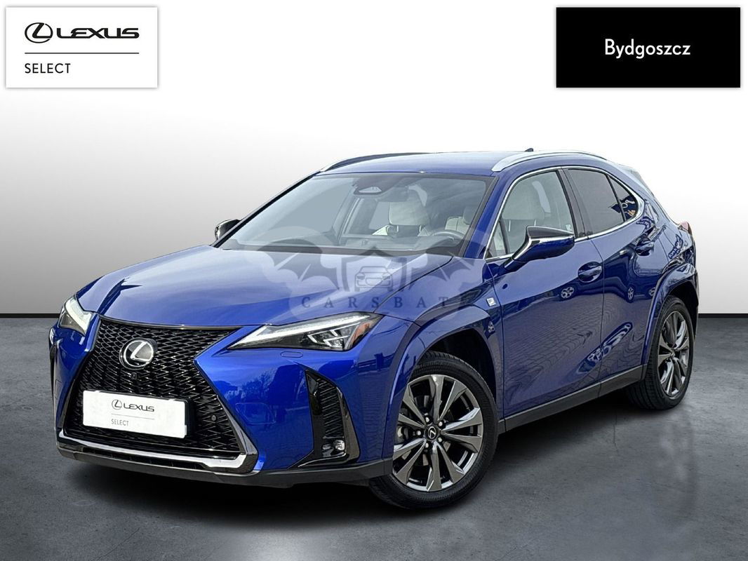 Lexus UX 2024
