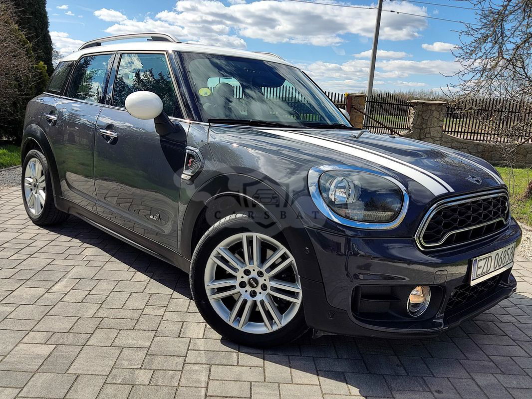 Mini Countryman Cooper SD ALL4 ALL4 Trim sport 2017
