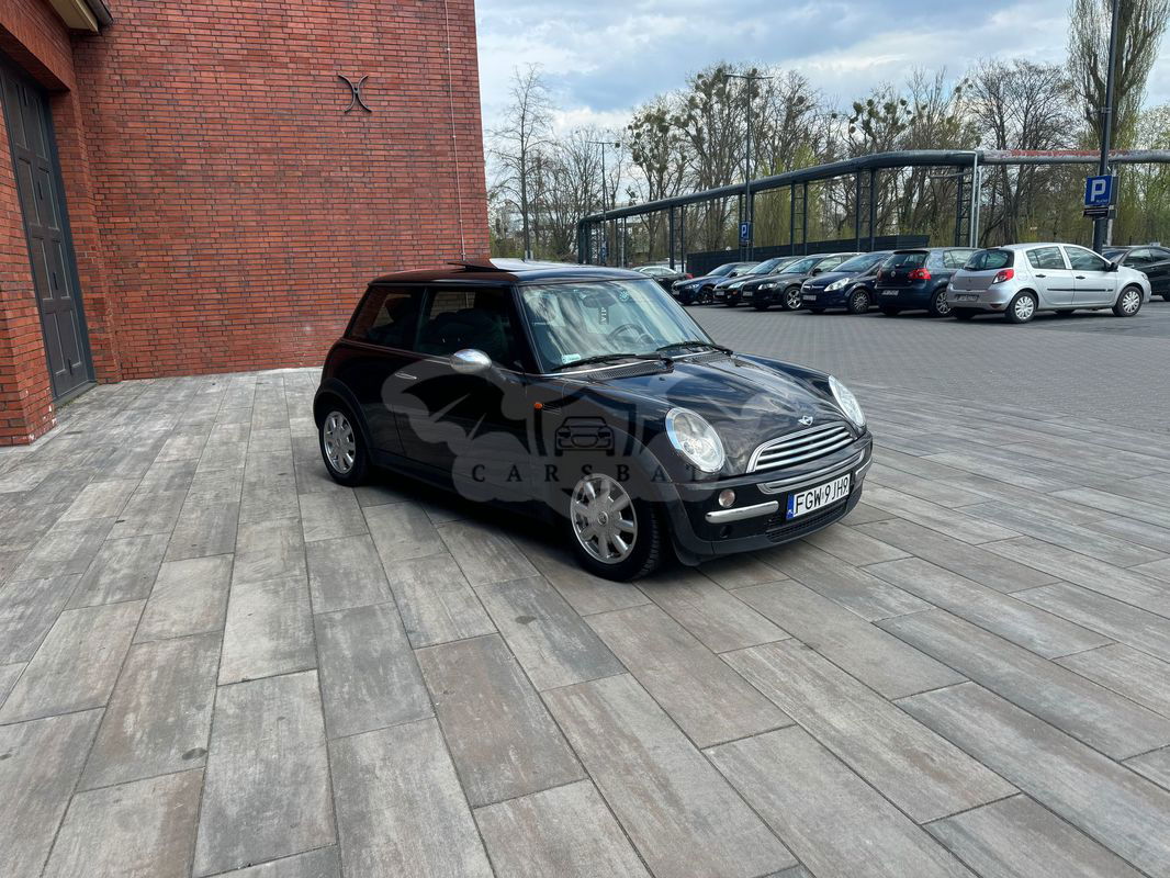 Mini One D salt 2003
