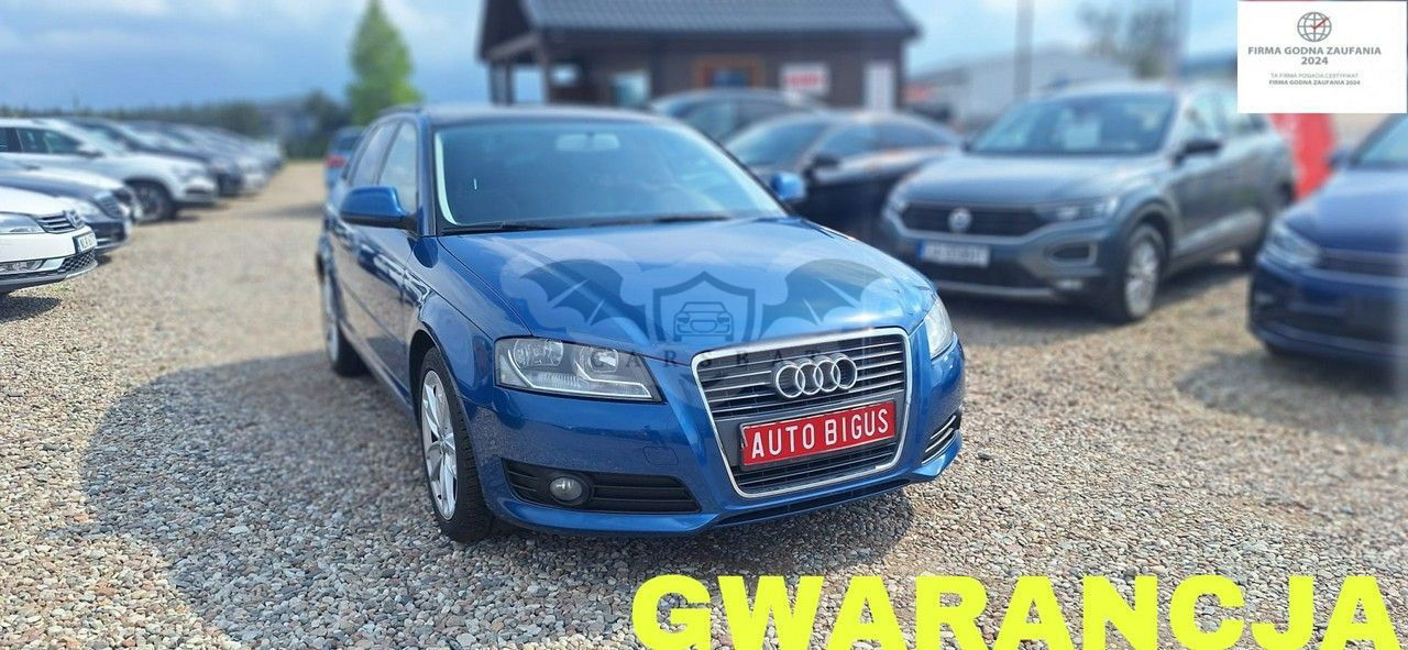 Audi A3 8P 2009