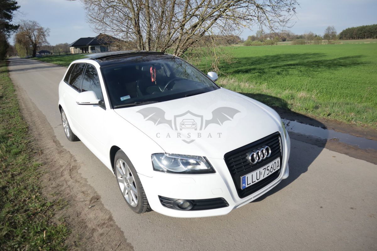 Audi A3 8P 1.9 TDI Sportback Ambiente 2009