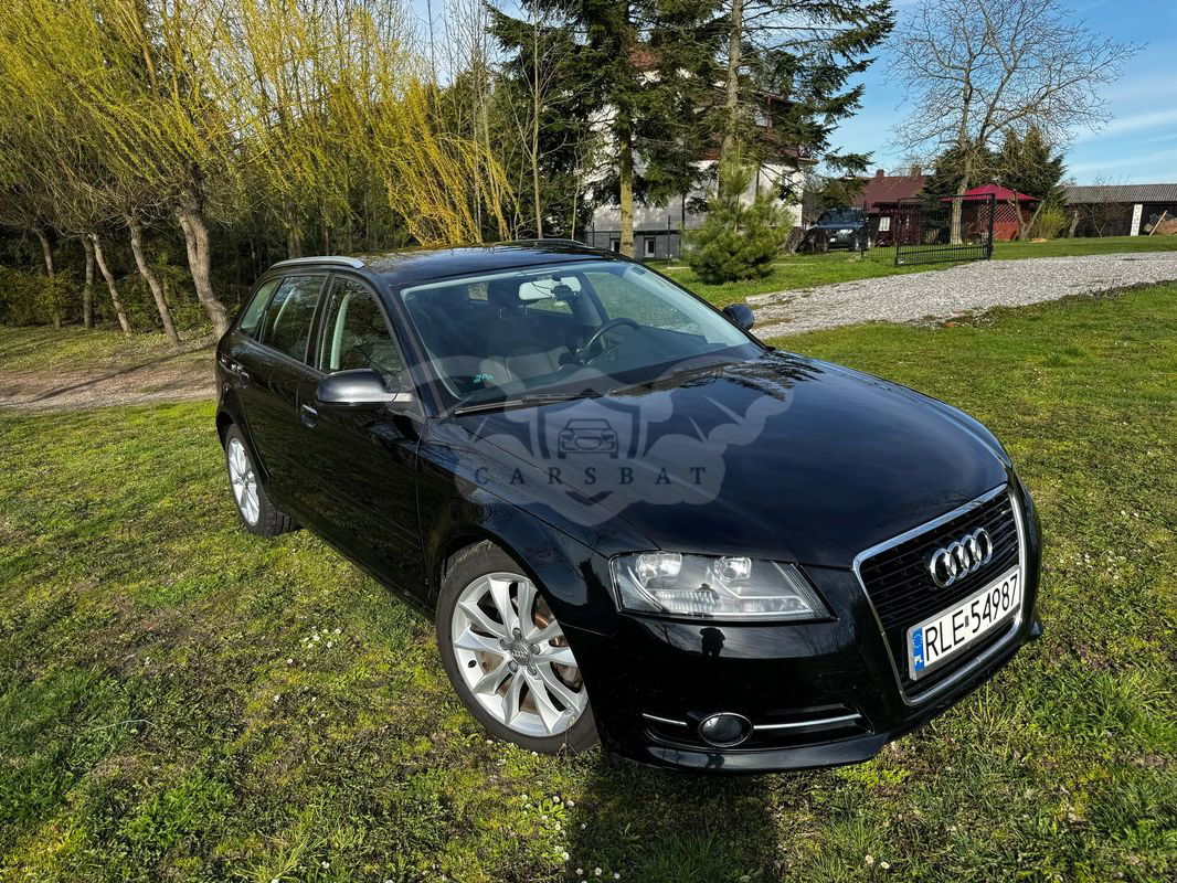 Audi A3 8P 2010