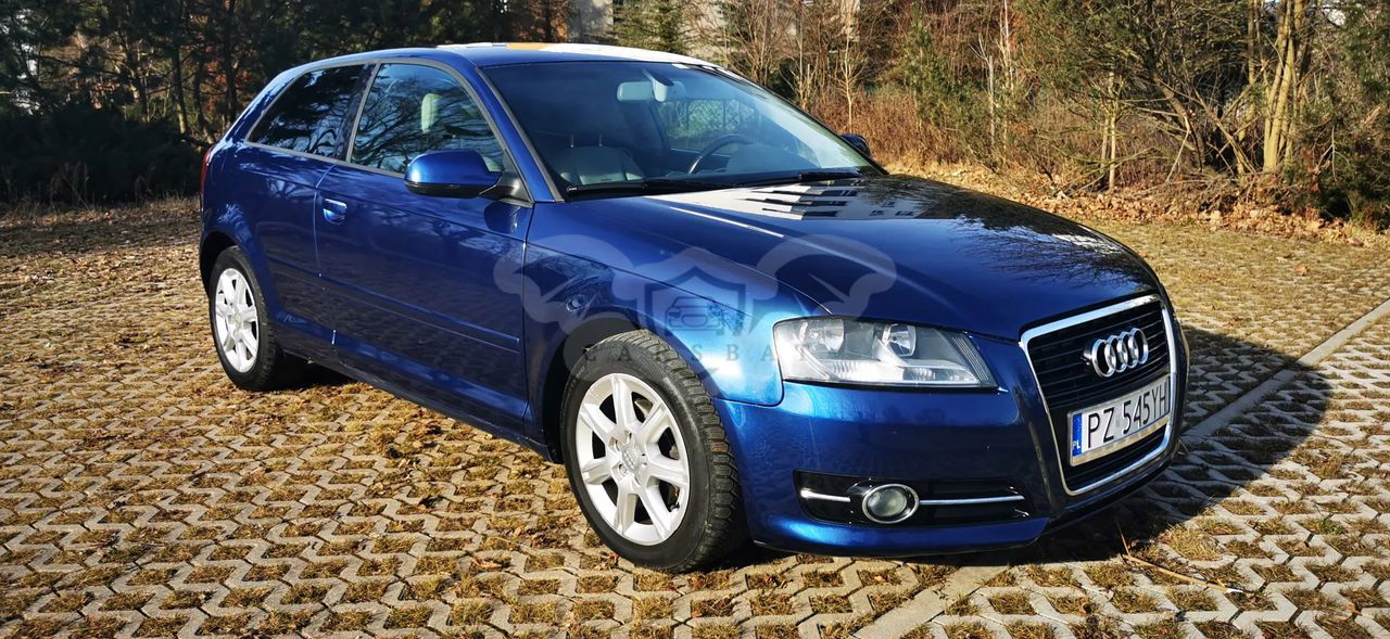 Audi A3 8P 1.6 TDI DPF Attraction 2010