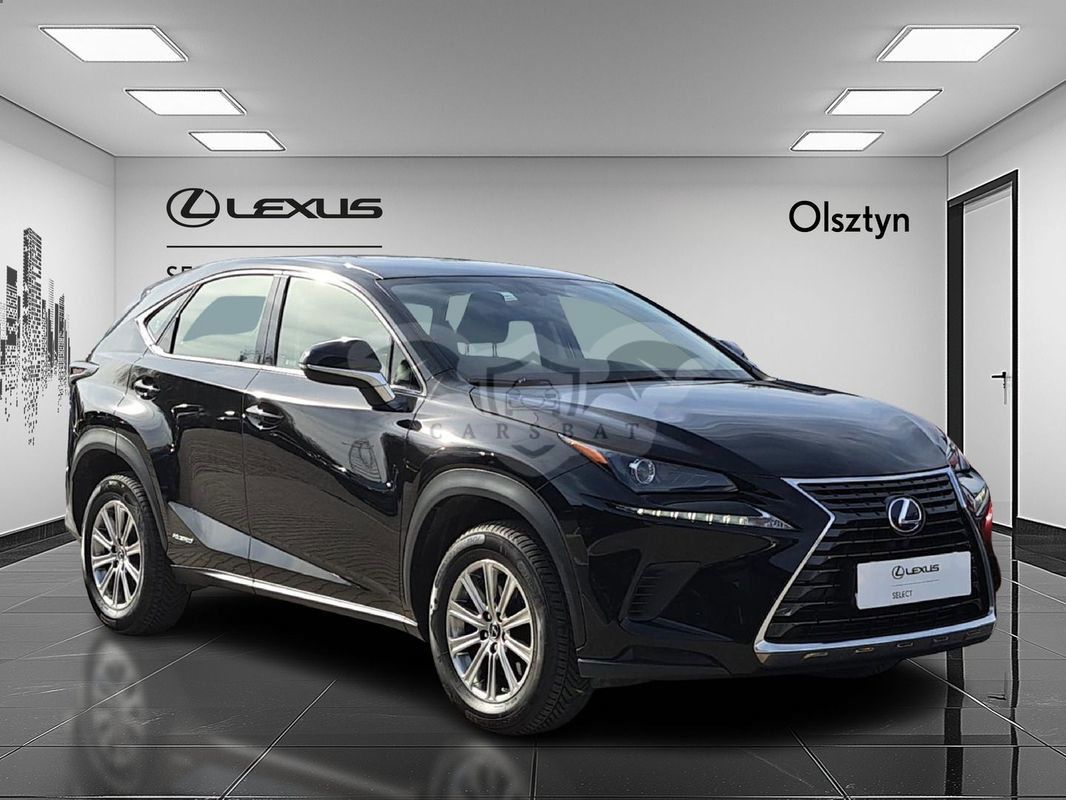 Lexus NX I 2021