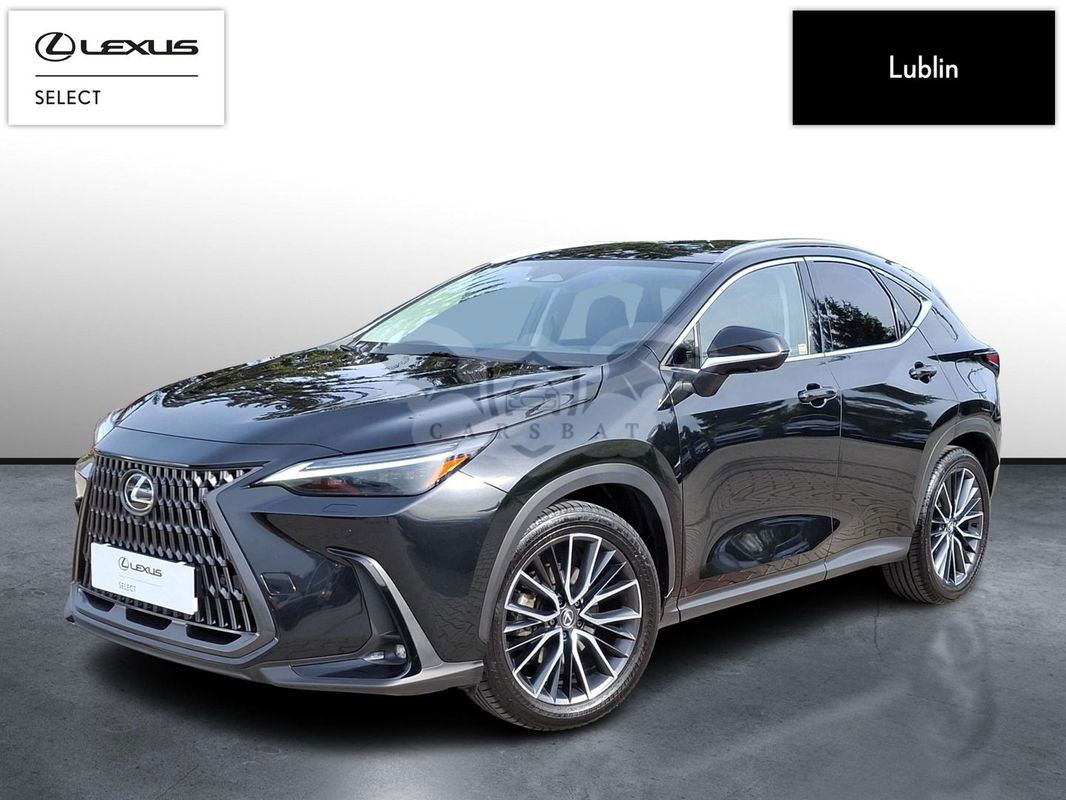 Lexus NX II 2023