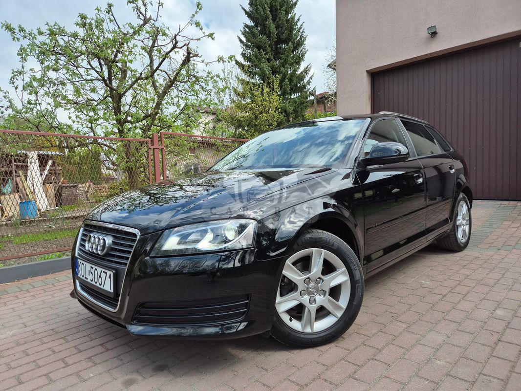 Audi A3 8P 1.6 Attraction 2009