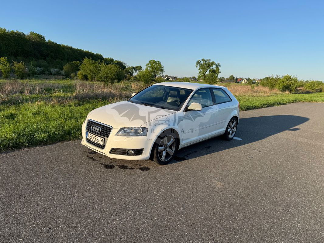 Audi A3 8P 1.4 TFSI Ambition 2010