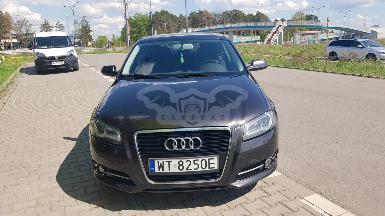 Audi A3 8P 1.6 TDI 99g DPF 2010