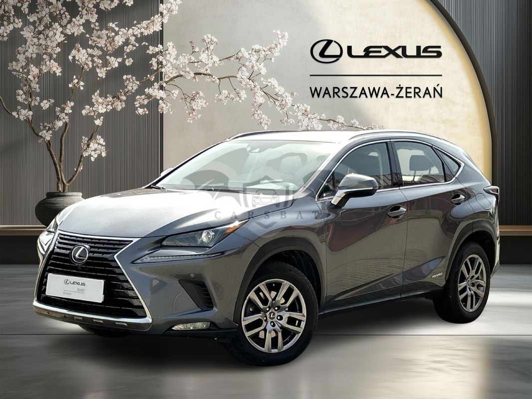Lexus NX I 2021
