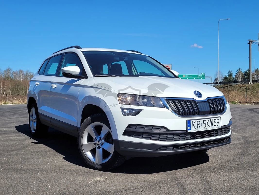 Skoda Karoq 1.6 TDI 4x2 Ambition DSG 2019