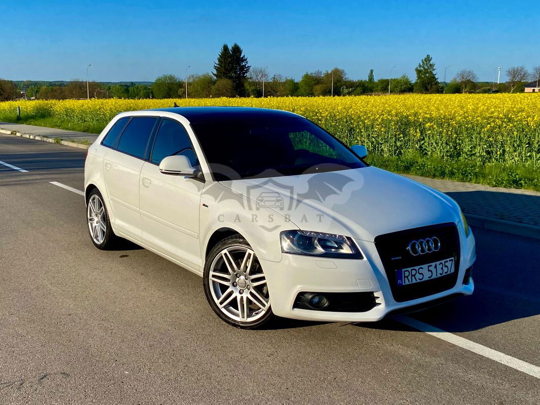 Audi A3 8P 2.0 TDI Sportback DPF quattro S line Sportpaket 2010
