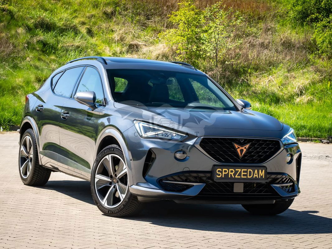 Cupra Formentor 1.5 TSI DSG 2022
