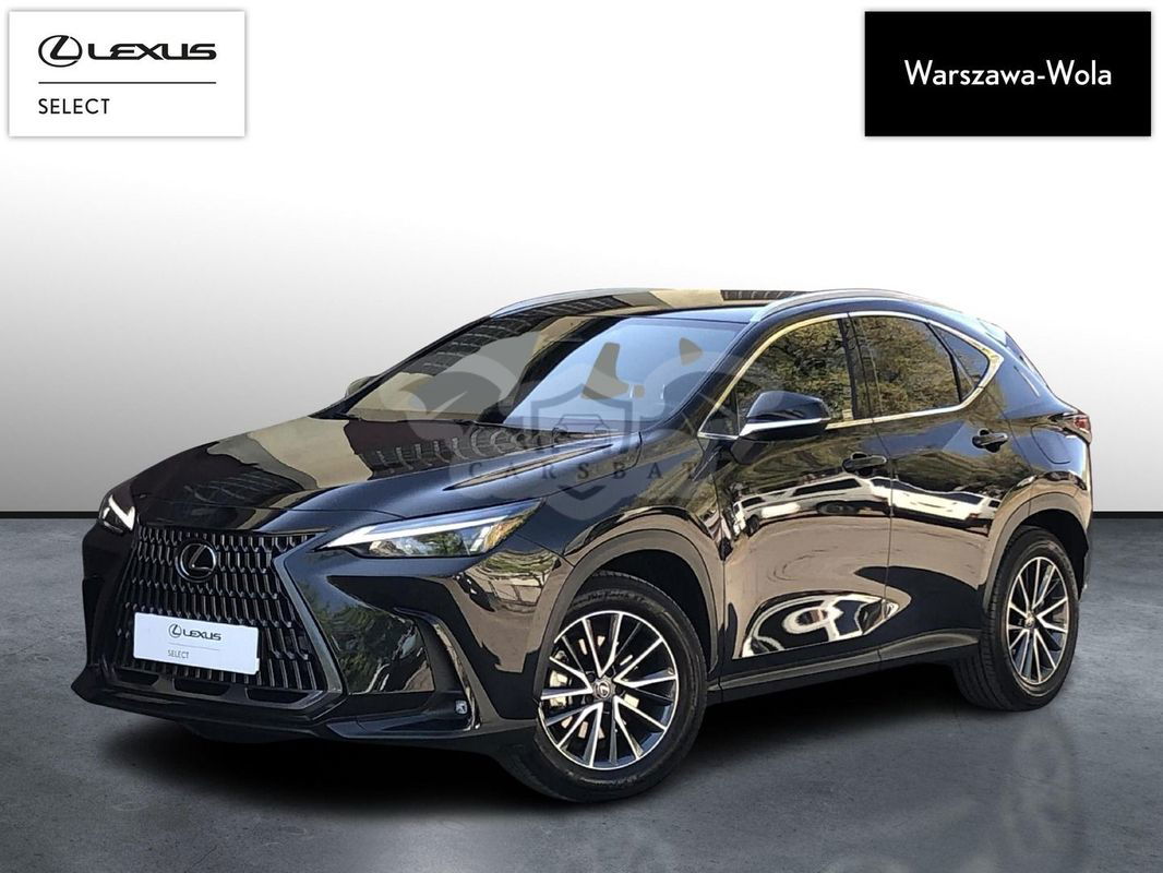 Lexus NX II 2023