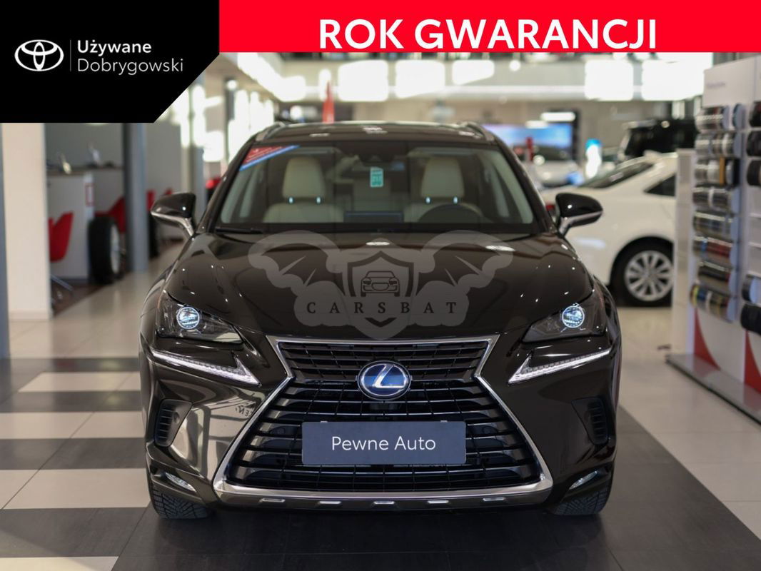 Lexus NX I 2019