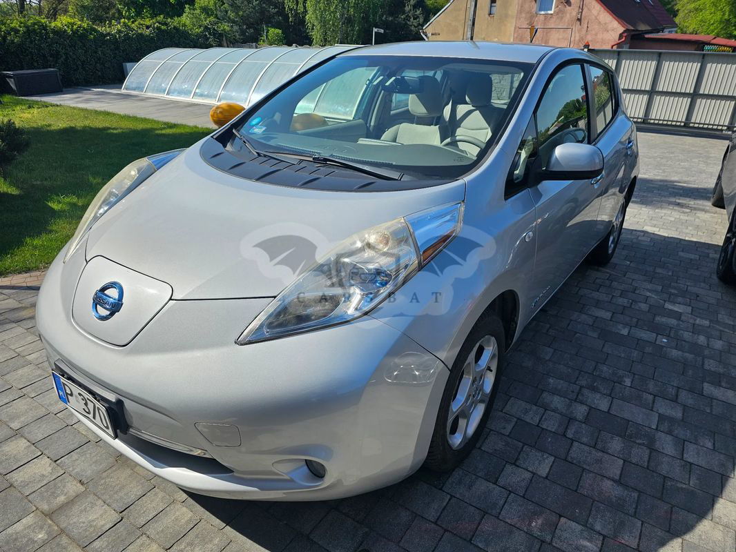 Nissan Leaf Standard 2010