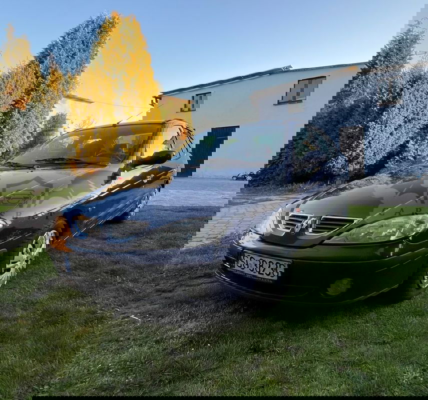 Renault Megane I 2002