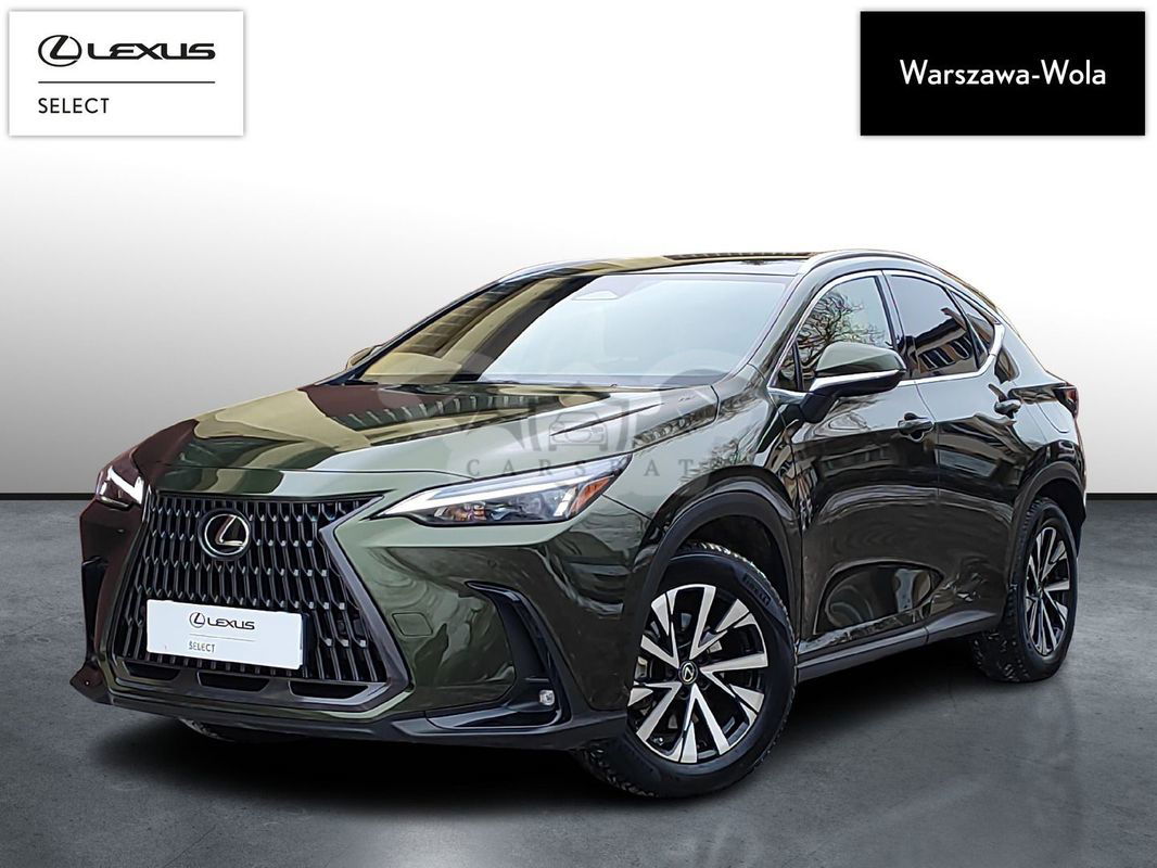 Lexus NX II 2023