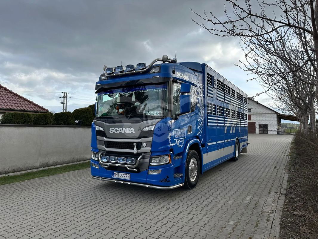 Scania P-series 2019