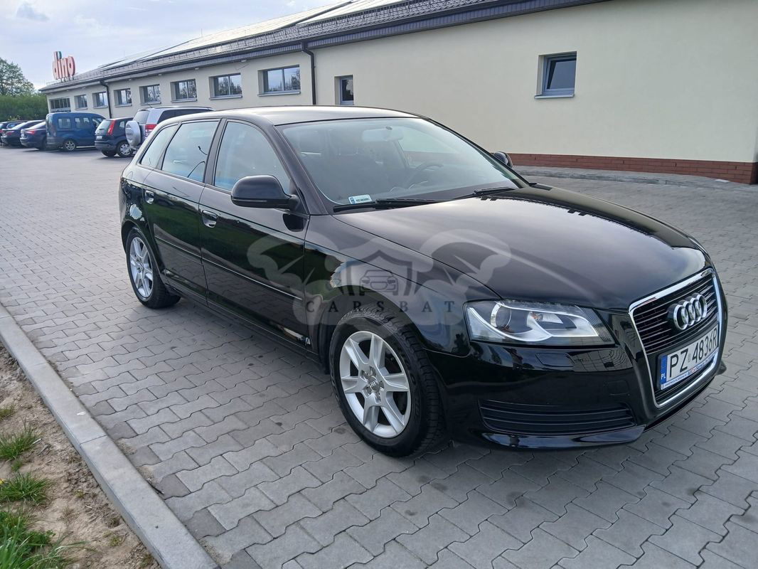 Audi A3 8P 1.6 Ambition 2009