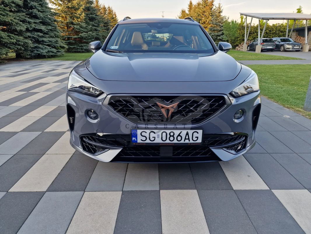 Cupra Formentor 2.0 TSI 4Drive VZ DSG 2021