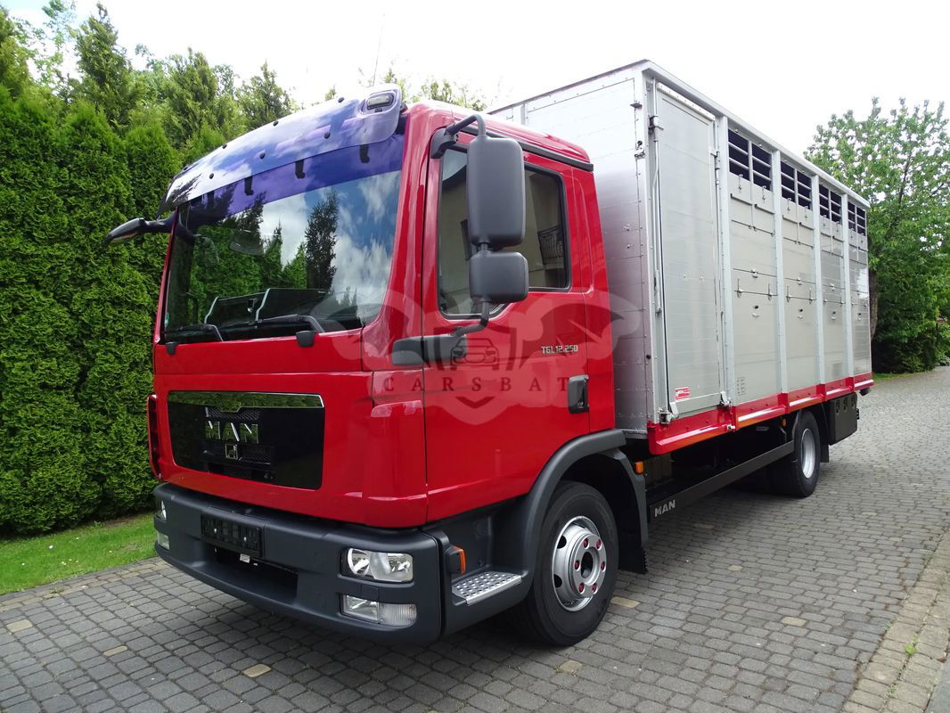 MAN TGM 2009
