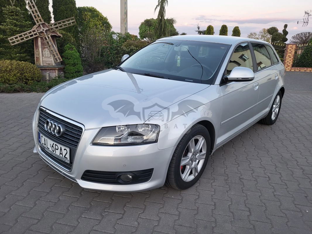 Audi A3 8P 2.0 TDI DPF Attraction 2009