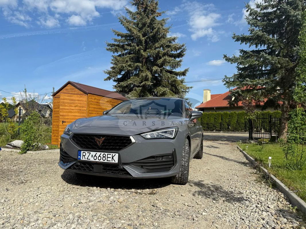 Cupra Leon 2022