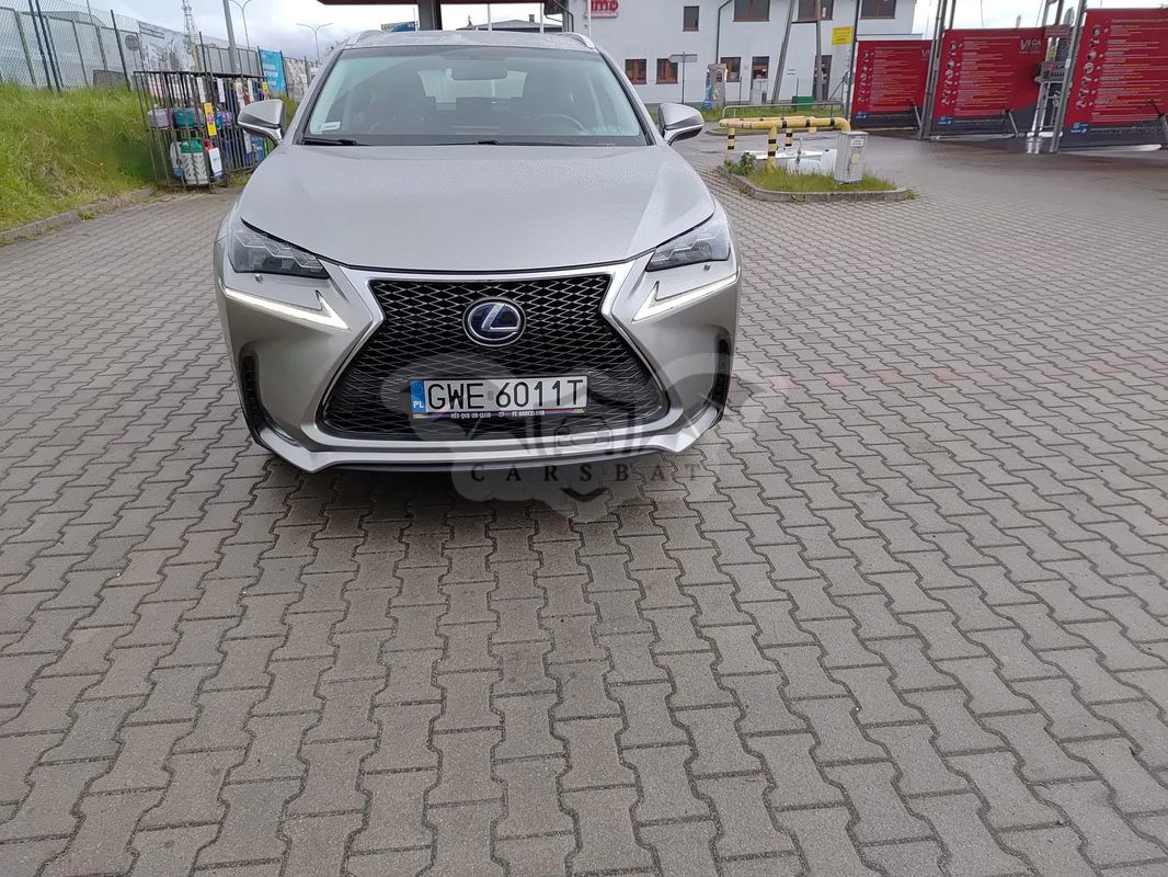 Lexus NX 2014