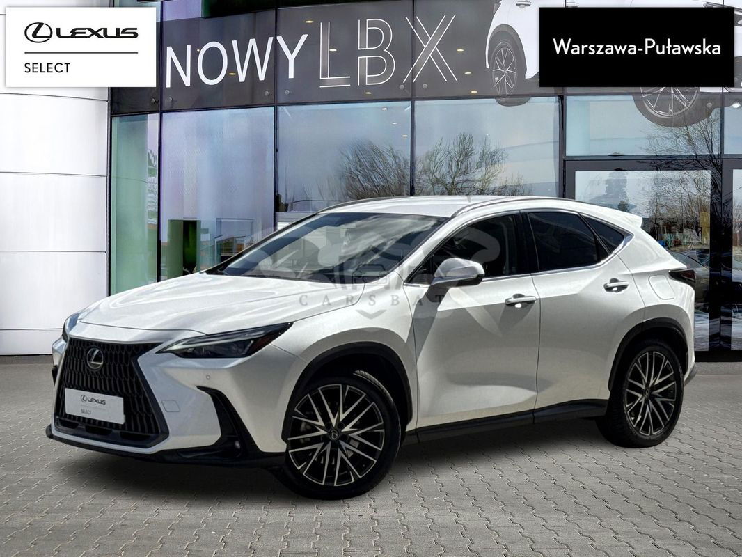 Lexus NX II 2023