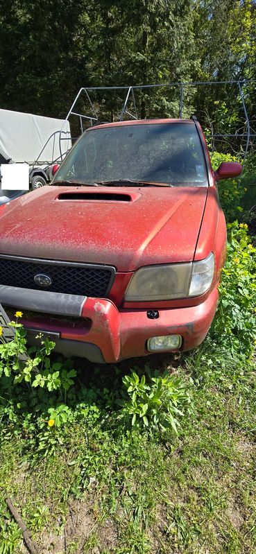 Subaru Forester I 2000