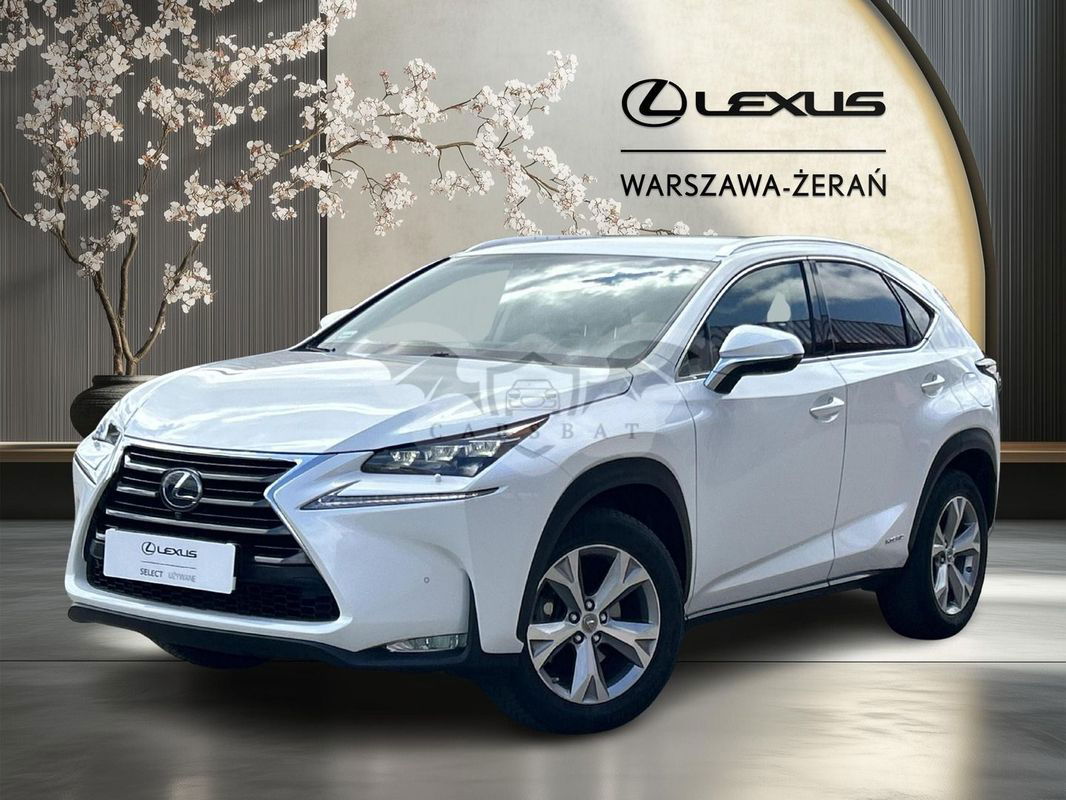 Lexus NX I 2017