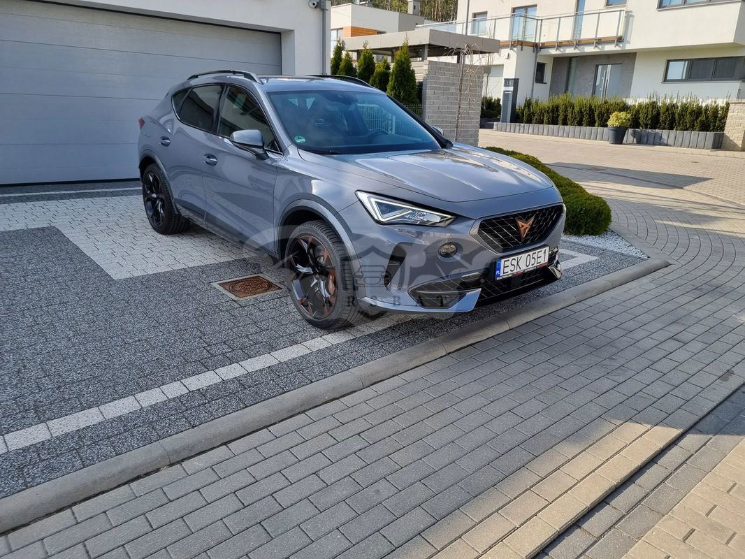 Cupra Formentor 2.0 TSI 4Drive VZ Tribe Edition DSG 2021